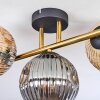 Ripoll Plafondlamp, Kogellampje Goud, Zwart, 3-lichts