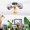 Chehalis Plafondlamp, Kogellampje Goud, Zwart, 3-lichts