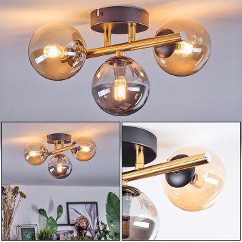 Chehalis Plafondlamp, Kogellampje Goud, Zwart, 3-lichts