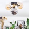 Chehalis Plafondlamp, Kogellampje Goud, Zwart, 3-lichts