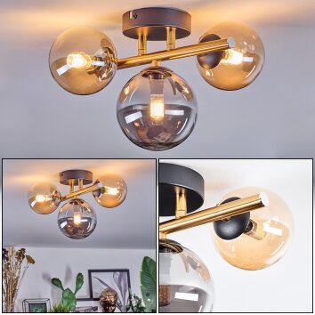 Chehalis Plafondlamp, Kogellampje Goud, Zwart, 3-lichts