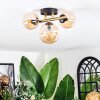 Chehalis Plafondlamp, Kogellampje Goud, Zwart, 3-lichts