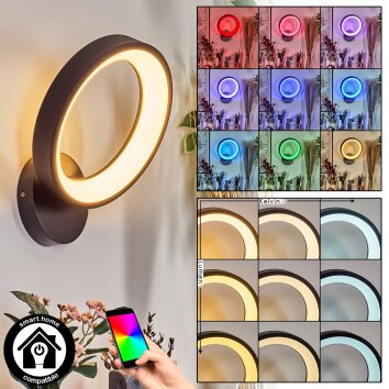 Delor Wandlamp LED Zwart, 1-licht, Kleurwisselaar