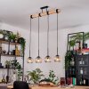 Koyoto Hanglamp, Kogellampje, Hanglamp Natuurlijke kleuren, Zwart, 4-lichts