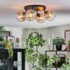 Gastor Plafondlamp, Kogellampje Amber, Duidelijk, 4-lichts