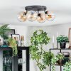 Gastor Plafondlamp, Kogellampje Amber, Duidelijk, 4-lichts