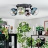 Gastor Plafondlamp, Kogellampje Blauw, Chroom, Groen, Duidelijk, Rookkleurig, 4-lichts