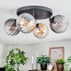 Koyoto Plafondlamp, Kogellampje Amber, Duidelijk, Rookkleurig, 4-lichts