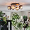 Koyoto Plafondlamp, Kogellampje Amber, Duidelijk, Rookkleurig, 4-lichts