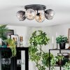 Koyoto Plafondlamp, Kogellampje Amber, Duidelijk, Rookkleurig, 4-lichts