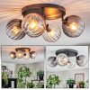 Koyoto Plafondlamp, Kogellampje Amber, Duidelijk, Rookkleurig, 4-lichts