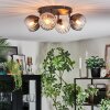 Koyoto Plafondlamp, Kogellampje Amber, Duidelijk, Rookkleurig, 4-lichts