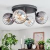 Koyoto Plafondlamp, Kogellampje Amber, Duidelijk, Rookkleurig, 4-lichts
