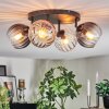 Koyoto Plafondlamp, Kogellampje Amber, Duidelijk, Rookkleurig, 4-lichts