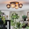 Koyoto Plafondlamp, Kogellampje Amber, Rookkleurig, 4-lichts