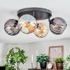 Koyoto Plafondlamp, Kogellampje Amber, Rookkleurig, 4-lichts