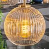 Koyoto Hanglamp, Kogellampje, Hanglamp Goud, Zwart, 5-lichts