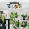Koyoto Plafondlamp, Kogellampje Blauw, Goud, Groen, Duidelijk, Rookkleurig, 4-lichts