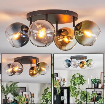Koyoto Plafondlamp, Kogellampje Blauw, Goud, Groen, Duidelijk, Rookkleurig, 4-lichts