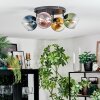 Koyoto Plafondlamp, Kogellampje Blauw, Goud, Groen, Duidelijk, Koperkleurig, 4-lichts