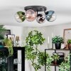 Gastor Plafondlamp, Kogellampje Blauw, Chroom, Groen, Duidelijk, Koperkleurig, Rookkleurig, 4-lichts