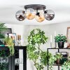 Gastor Plafondlamp, Kogellampje Amber, Rookkleurig, 4-lichts