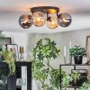 Gastor Plafondlamp, Kogellampje Amber, Rookkleurig, 4-lichts