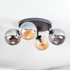 Gastor Plafondlamp, Kogellampje Amber, Rookkleurig, 4-lichts