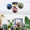 Chehalis Plafondlamp, Kogellampje Goud, Zwart, 3-lichts