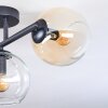 Koyoto Plafondlamp, Kogellampje Amber, Duidelijk, Rookkleurig, 3-lichts
