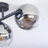 Koyoto Plafondlamp, Kogellampje Duidelijk, Rookkleurig, 3-lichts
