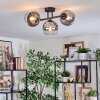Koyoto Plafondlamp, Kogellampje Duidelijk, Rookkleurig, 3-lichts