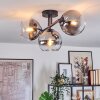Koyoto Plafondlamp, Kogellampje Duidelijk, Rookkleurig, 3-lichts