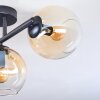 Koyoto Plafondlamp, Kogellampje Amber, Duidelijk, 3-lichts