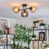 Koyoto Plafondlamp, Kogellampje Amber, Rookkleurig, 3-lichts