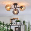 Koyoto Plafondlamp, Kogellampje Amber, Rookkleurig, 3-lichts