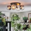 Gastor Plafondlamp, Kogellampje Amber, Duidelijk, Rookkleurig, 4-lichts