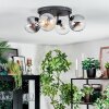 Gastor Plafondlamp, Kogellampje Amber, Duidelijk, Rookkleurig, 4-lichts