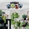 Koyoto Plafondlamp, Kogellampje Blauw, Groen, Koperkleurig, 4-lichts