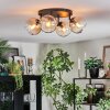 Koyoto Plafondlamp, Kogellampje Amber, Duidelijk, 4-lichts