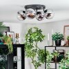 Gastor Plafondlamp, Kogellampje Chroom, Duidelijk, Rookkleurig, 4-lichts