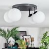 Gastor Plafondlamp, Kogellampje Wit, 4-lichts