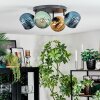 Koyoto Plafondlamp, Kogellampje Blauw, Goud, Groen, 4-lichts