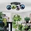 Gastor Plafondlamp, Kogellampje Blauw, Chroom, Groen, Rookkleurig, 4-lichts
