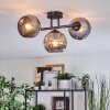 Ripoll Plafondlamp, Kogellampje Rookkleurig, 3-lichts