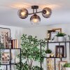 Koyoto Plafondlamp, Kogellampje Duidelijk, Rookkleurig, 3-lichts