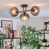 Koyoto Plafondlamp, Kogellampje Duidelijk, Rookkleurig, 3-lichts