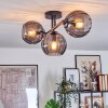 Koyoto Plafondlamp, Kogellampje Rookkleurig, 3-lichts