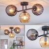 Koyoto Plafondlamp, Kogellampje Amber, Rookkleurig, 3-lichts