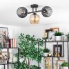 Koyoto Plafondlamp, Kogellampje Amber, Rookkleurig, 3-lichts
